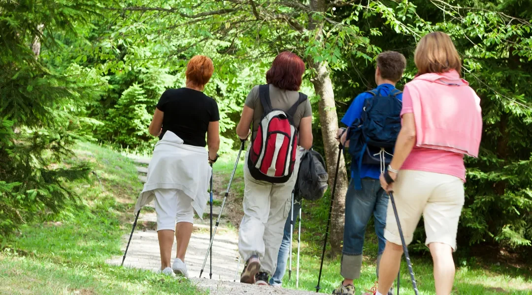 Nordic walking